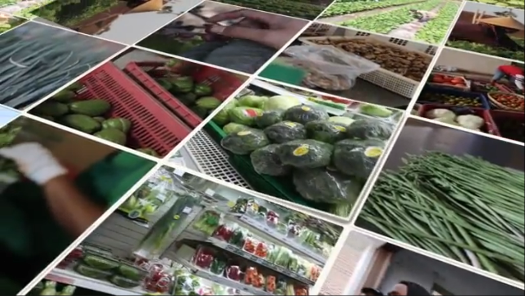 Profil Klaster Boyolali – Bank Indonesia